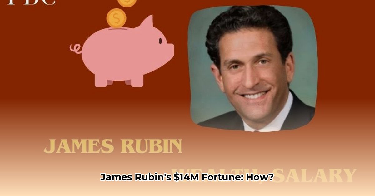 james-rubin-net-worth